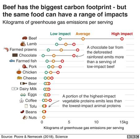 Graph showing carbon footprint of different foods