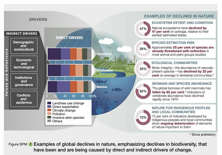 The direct drivers of natural decline