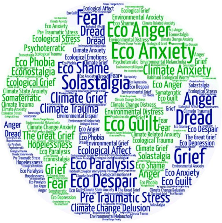 Eco-emotions word cloud