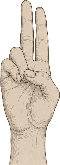 A hand forming prāna mudrā, representing embodiment and life-force