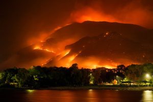 Forest burning